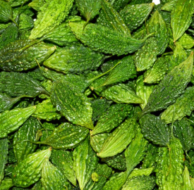 Khổ qua rừng tươi