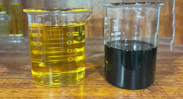 Dầu Mù U và Dầu Mù U Tinh Chế: Sự Khác Biệt và Ứng Dụng Trong Làm Đẹp và Chăm Sóc Da