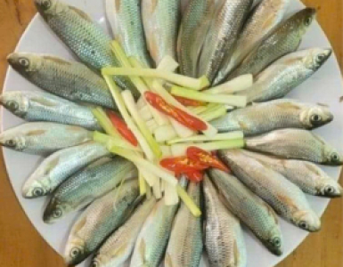 Tìm hiểu về cá niên