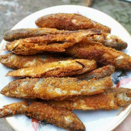 Cá chuồn