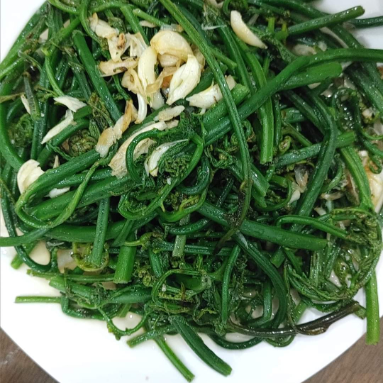 Rau dớn